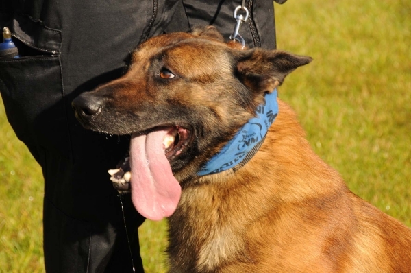 HeklaScholendag-0317