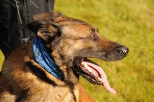 HeklaScholendag-0318