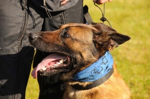 HeklaScholendag-0319