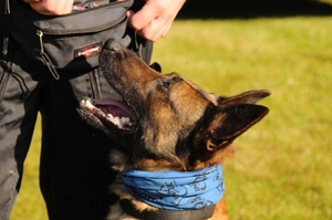 HeklaScholendag-0320