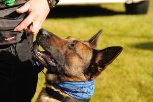 HeklaScholendag-0321