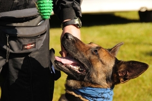 HeklaScholendag-0322