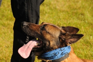 HeklaScholendag-0323