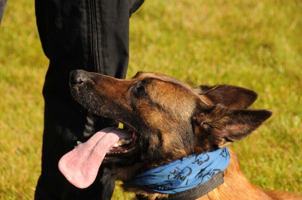 HeklaScholendag-0323