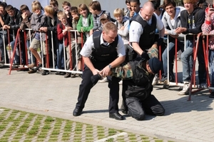 HeklaScholendag-0348