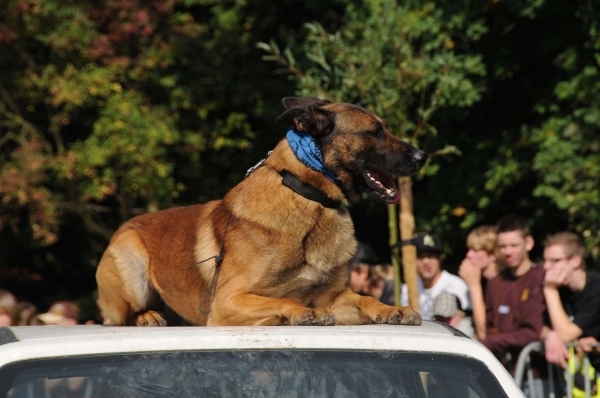 HeklaScholendag-0443