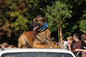 HeklaScholendag-0444