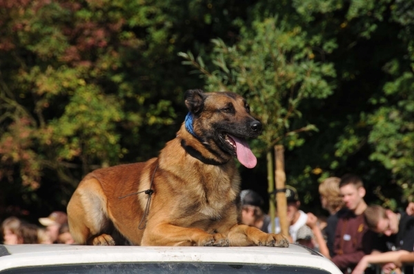 HeklaScholendag-0445