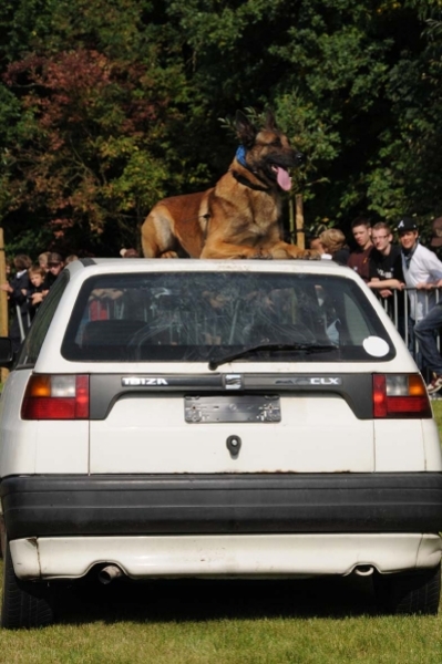 HeklaScholendag-0446