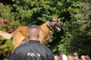 HeklaScholendag-0447