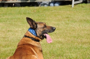 HeklaScholendag-0454