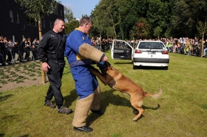 HeklaScholendag-0495