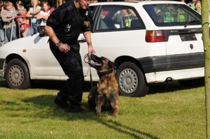 HeklaScholendag-0583