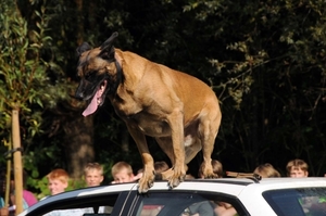 HeklaScholendag-0589