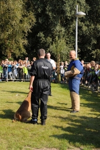 HeklaScholendag-0618