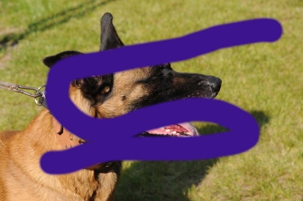 HeklaScholendag-0622