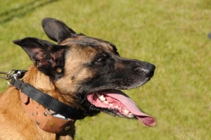 HeklaScholendag-0624