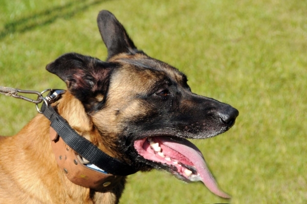 HeklaScholendag-0625