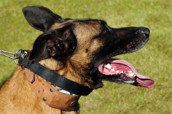 HeklaScholendag-0626