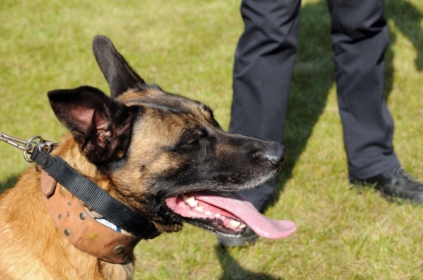 HeklaScholendag-0627