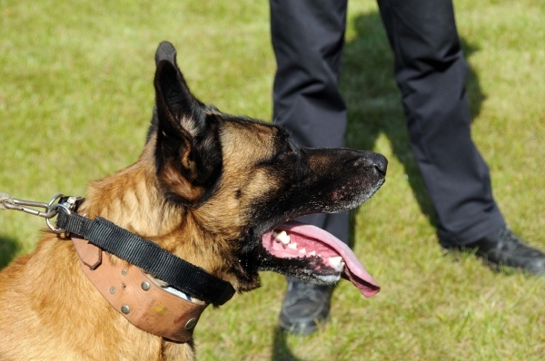 HeklaScholendag-0628