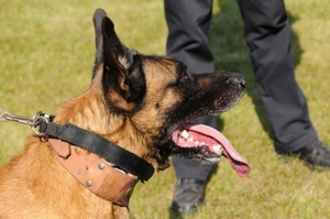 HeklaScholendag-0629