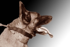 HeklaScholendag-0657