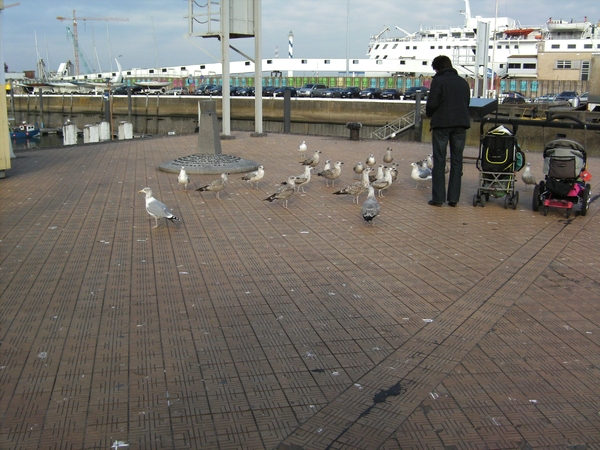 BILD0002