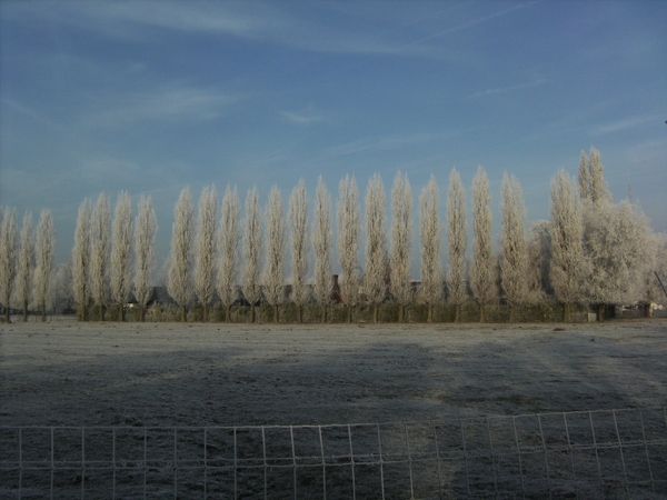 BILD0027
