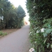 2014-03-12 Bornem 10