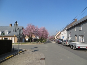 2014-03-13 Scheldewindeke 01