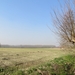 2014-03-13 Scheldewindeke 02