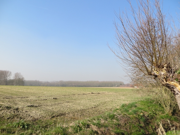 2014-03-13 Scheldewindeke 02