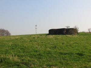 2014-03-13 Scheldewindeke 21