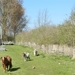 20140316.Heusden 006 (Medium)