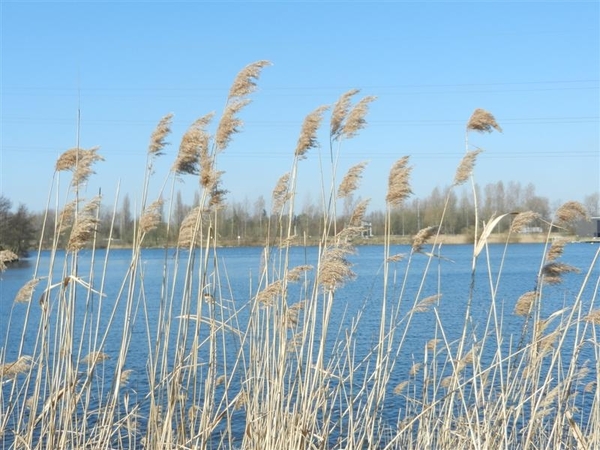 20140316.Heusden 017 (Medium)