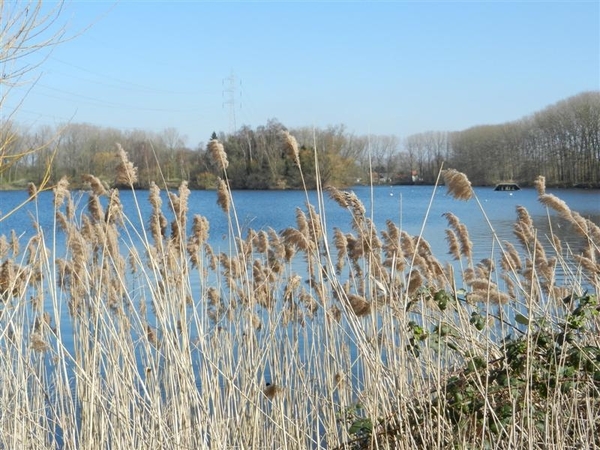 20140316.Heusden 020 (Medium)