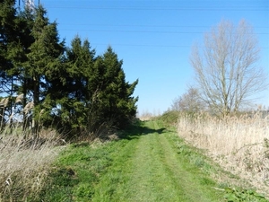 20140316.Heusden 021 (Medium)