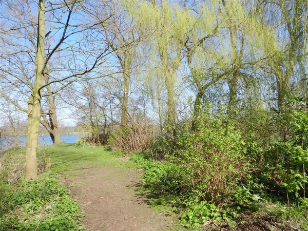 20140316.Heusden 027 (Medium)