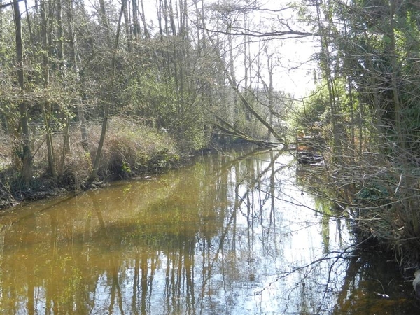 20140316.Heusden 028 (Medium)