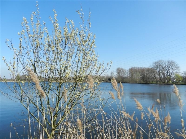 20140316.Heusden 032 (Medium)