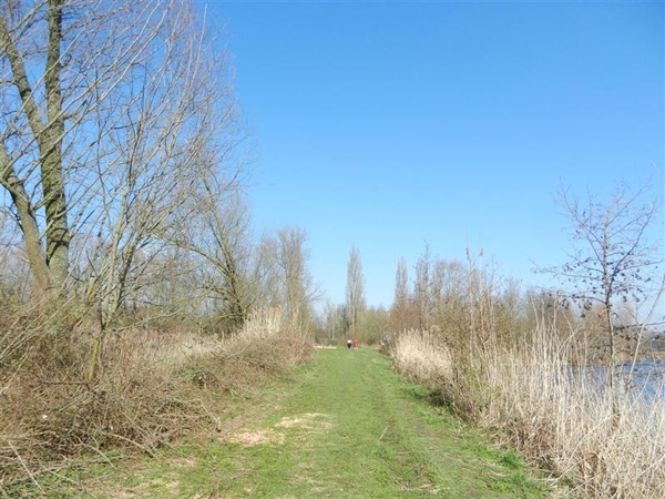 20140316.Heusden 035 (Medium)