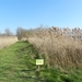 20140316.Heusden 038 (Medium)