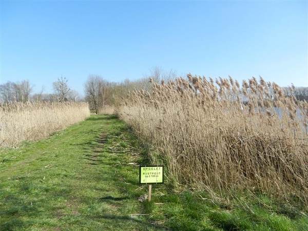 20140316.Heusden 038 (Medium)