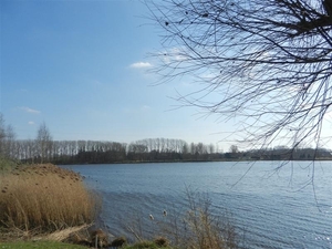 20140316.Heusden 041 (Medium)