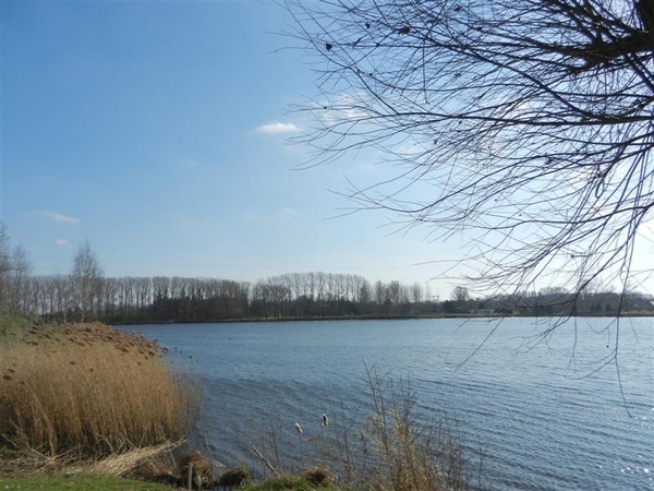 20140316.Heusden 041 (Medium)