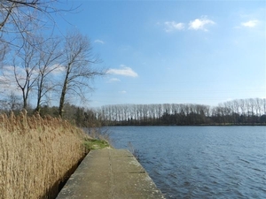 20140316.Heusden 043 (Medium)