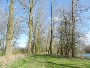 20140316.Heusden 045 (Medium)