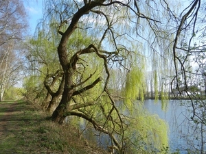 20140316.Heusden 050 (Medium)