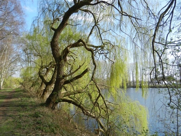 20140316.Heusden 050 (Medium)